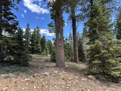 /international/us/1065-redwood-rd-duck-creek-ut-110101177196/?lang=zh-cn