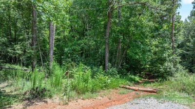 /international/us/rolling-road-lincolnton-nc-110101293337/?lang=zh-tw