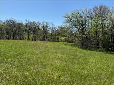 /international/us/lot-2145-barracuda-road-gallatin-mo-110097495078/