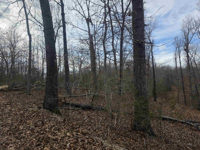 /international/us/l18-b3-s-summit-ridge-drive-ozark-acres-ar-110106326355/