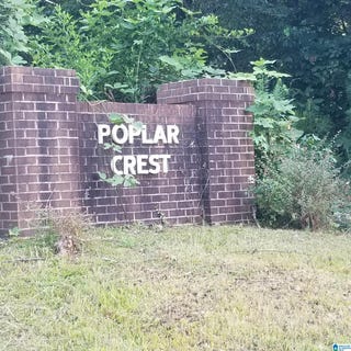 /international/us/13100-hwy-174-poplar-drive-odenville-al-110101489598/?lang=zh-cn
