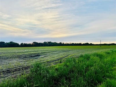 /international/us/0-cr-3520-honey-grove-tx-110099395835/