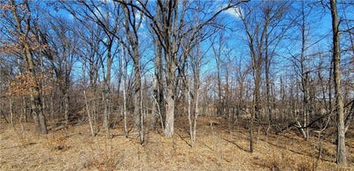 /international/us/514xx-leaf-river-road-tract-c-ottertail-mn-110103240400/