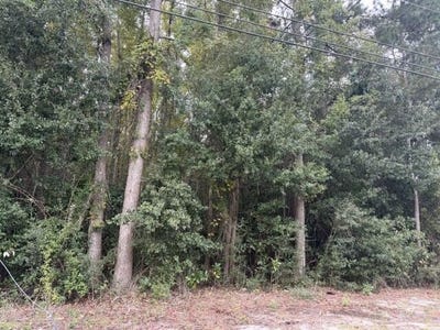/international/us/w-huggins-street-manning-sc-110120453032/