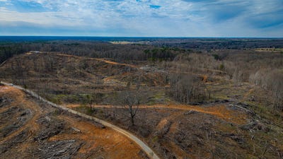 /international/us/0-county-road-217-blue-springs-ms-110097535111/