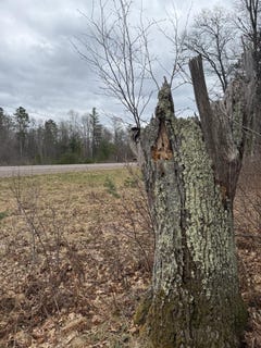 /international/us/1-91-ac-hwy-70-lac-du-flambeau-wi-110106122169/
