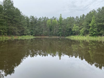 /international/us/16503-county-rd-67-thornton-ar-110092300839/