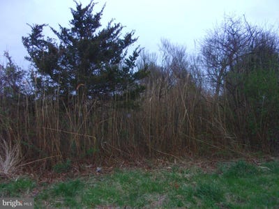 /international/us/873-downe-avenue-fortescue-nj-110098624706/