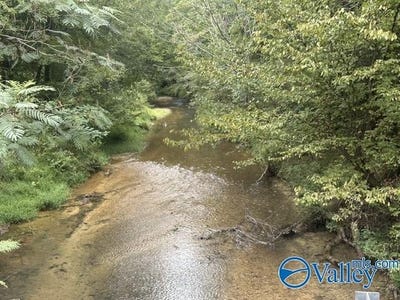 /international/us/4690-a-county-road-14-waterloo-al-110110329015/