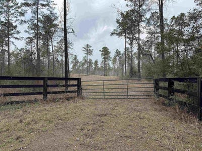 /international/us/090-county-divide-road-pineland-tx-110103435553/