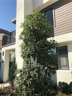 /international/us/218-terrapin-irvine-ca-110108442841/