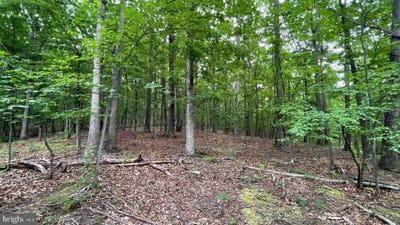 /international/us/hidden-springs-court-lot-53-slanesville-wv-110108445460/