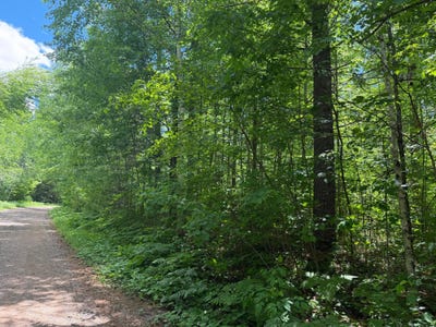 /international/us/maplestone-rd-lot-30-minocqua-wi-110108981968/