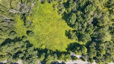 /international/us/201-presbyterian-hill-road-lot-1-stephentown-ny-110109438315/