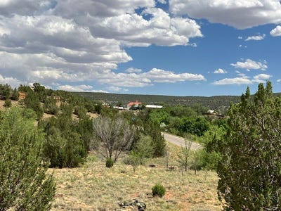 /international/us/2-07-acres-nm-3-villanueva-nm-110092571086/
