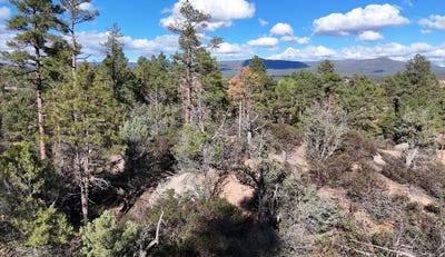 /international/us/saddleback-trail-lot-37-star-valley-az-110107997479/