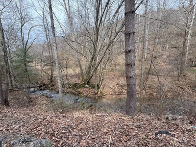 /international/us/tbd-kanawha-run-rd-sutton-wv-110108207196/