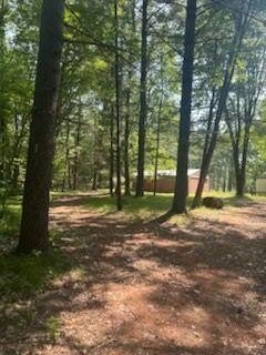/international/us/8268-s-ferris-avenue-newaygo-mi-110101010284/