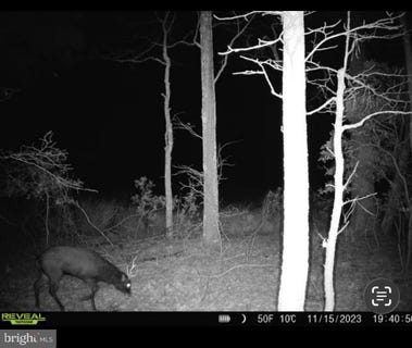 /international/us/2839-lakesville-crapo-road-church-creek-md-110107160600/