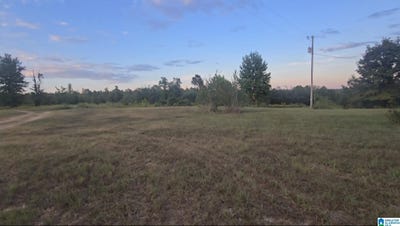 /international/us/county-road-351-lot-1-maplesville-al-110120064399/