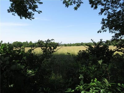 /international/us/tbd-3-5-acres-bethel-rd-bethel-rd-gravette-ar-110099901531/