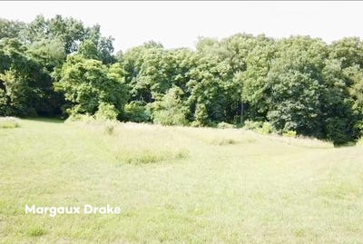 /international/us/lot-2-5295-belding-road-ne-rockford-mi-110101066163/