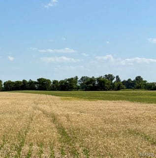 /international/us/0-s-highway-bb-east-prairie-mo-110108139633/