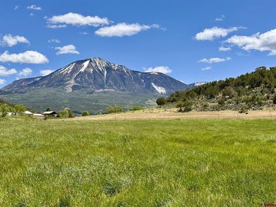 /international/us/parcel-c-tbd-lamborn-mesa-road-paonia-co-110107691958/