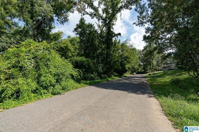 /international/us/mayflower-drive-lot-23-24-hoover-al-110102164461/