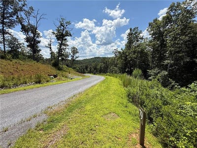 /international/us/79-river-overlook-lane-s-ellijay-ga-110101124310/