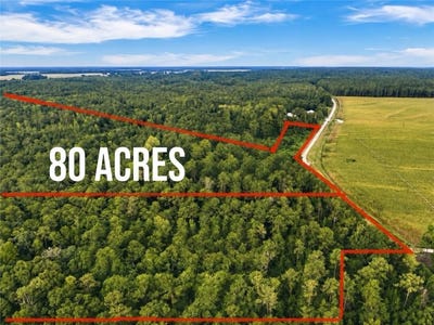 /international/us/county-road-91-little-texas-al-110109985463/