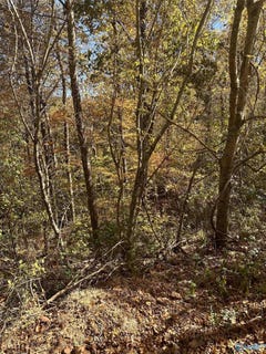 /international/us/4619-legacy-preserve-way-se-brownsboro-al-110089406595/