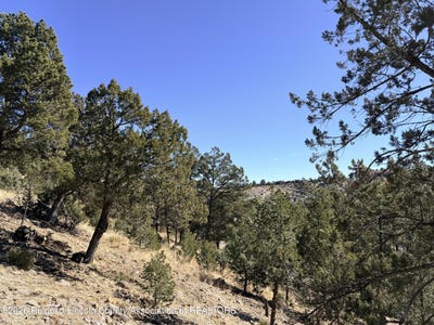 /international/us/bobcat-trail-lot-t43c-alto-nm-110105383818/