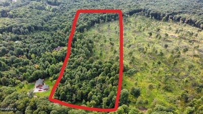 /international/us/0-mountain-springs-road-alum-bank-pa-110101523112/?lang=zh-cn