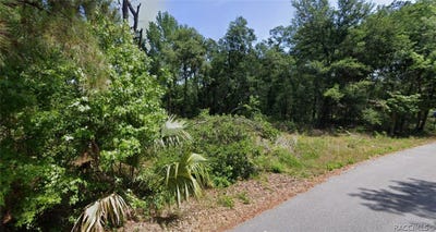/international/us/oak-lane-way-silver-springs-fl-110110356131/