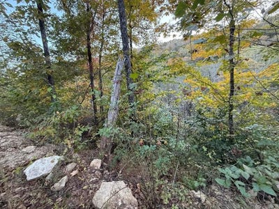 /international/us/30-highway-89-livingston-ky-110105929471/