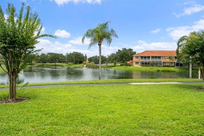 /international/us/6808-dali-avenue-land-o-lakes-fl-110109713745/