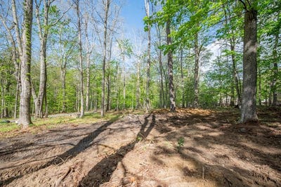 /international/us/3826-s-scenic-highway-lot-0-bland-va-110107780626/