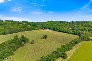 /international/us/21-acre-county-road-675-riceville-tn-110108296034/