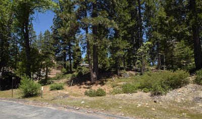 /international/us/43327-garnet-lane-shaver-lake-ca-110089194002/