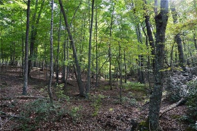 /international/us/tract-e-hanging-rock-forest-road-danbury-nc-110106025912/