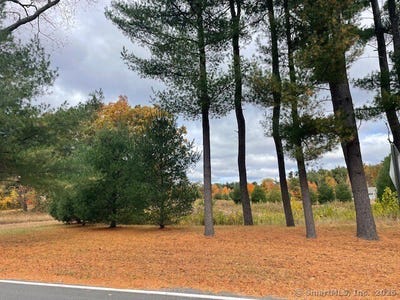 /international/us/175-stafford-road-somers-ct-110101931409/
