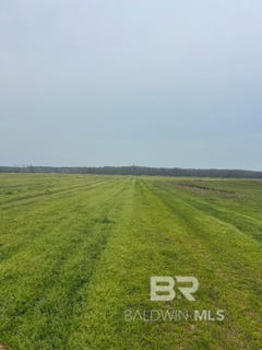 /international/us/butler-street-atmore-al-110105114075/