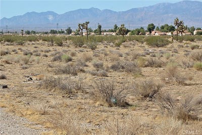 /international/us/1111-rhode-island-road-adelanto-ca-110102102405/