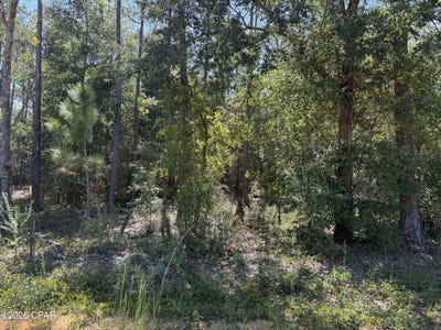 /international/us/abraham-street-alford-fl-110110300595/