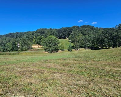 /international/us/goose-creek-road-lot-30b-north-tazewell-va-110101913669/