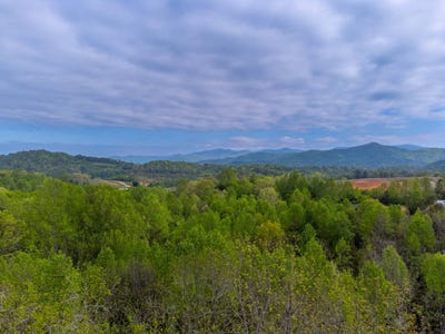 /international/us/1817-lakeside-dr-franklin-nc-110101434425/?lang=zh-tw