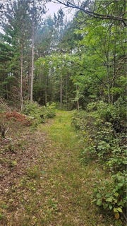 /international/us/hazelnut-lane-lot-1-hayward-wi-110102189831/