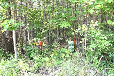 /international/us/1797-derby-road-indian-river-mi-110101436688/
