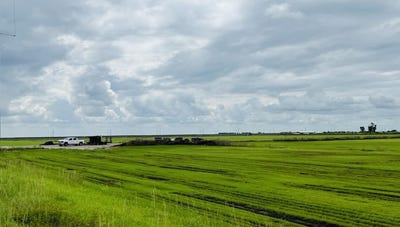 /international/us/1005-cty-road-827a-belle-glade-fl-110072519448/